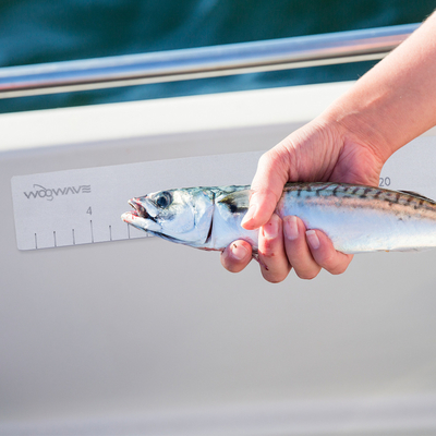 Woowave Marine EVA Foam Boat Fish Measure Ruler aangepast kleur en grootte voor vissen